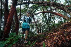 BIB: 
                            <button type="button" onclick="openModal(26344797)" class="btn btn-primary btn-sm float-right btn-popup" data-toggle="modal" data-target=".modal-high-quality">
                        <i class="fas fa-shopping-cart"></i> Add to Cart
                    </button>
                                            <button type="button" onclick="isThisMe(26344797, true)" class="btn btn-success btn-sm float-right btn-popup btn-isme hidden" data-toggle="tooltip" data-placement="bottom" title="นี่คือรูปของคุณใช่ไหม คลิกที่นี่เพื่อเอาเข้าอัลบั้ม">
                        <i class="fas fa-plus"></i> Add to album
                    </button>
                    <button type="button" onclick="isThisMe(26344797, false)" class="btn btn-warning btn-sm float-right btn-popup btn-isnotme hidden">
                        <i class="fas fa-ban"></i> Remove from album
                    </button>